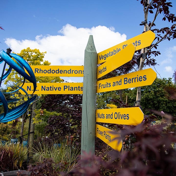 blueskin nurseries sign