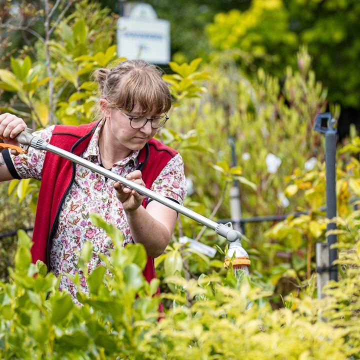 garden centre helpful staff watering