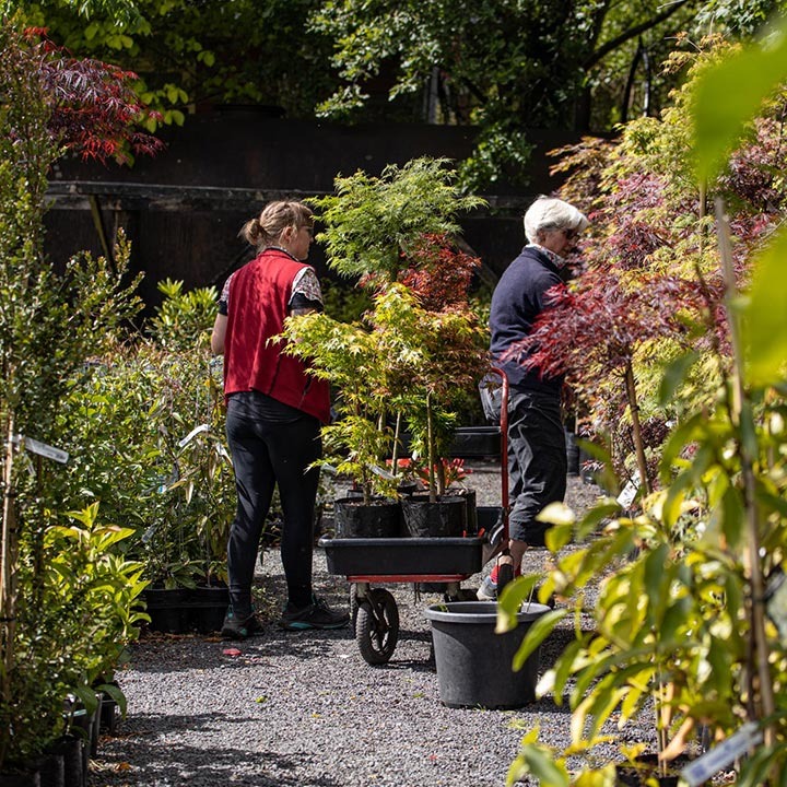 home garden centre two staff