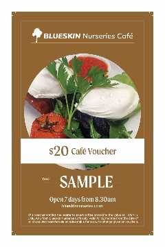 Cafe_Vouchers $20