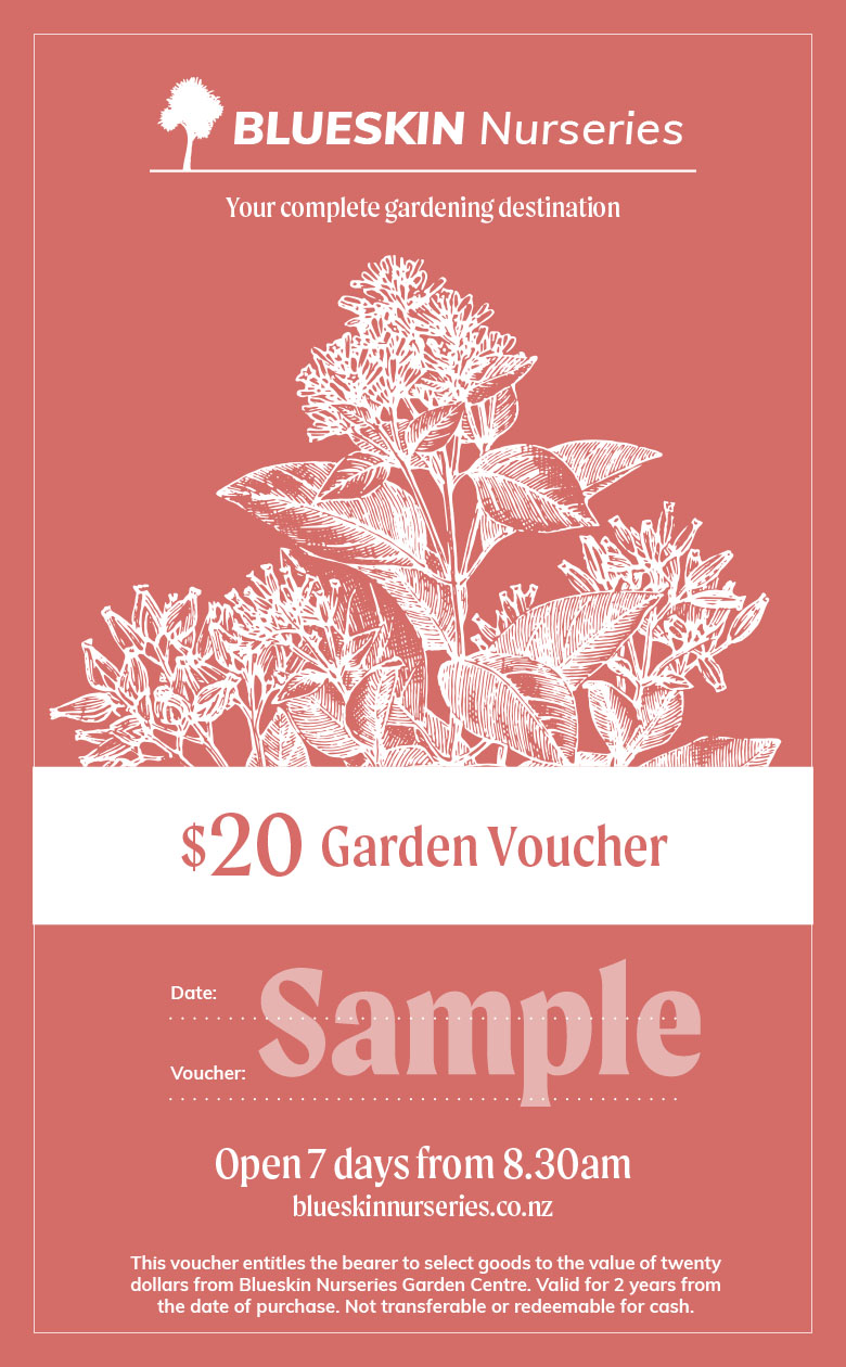 Voucher $20