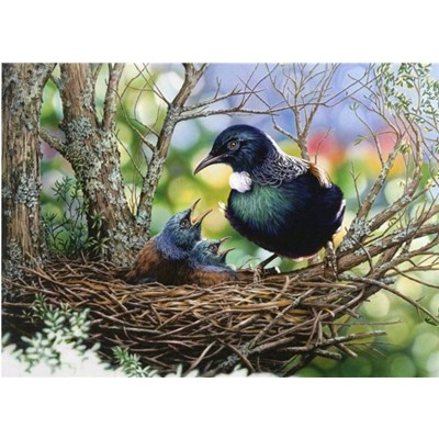 tui in nest