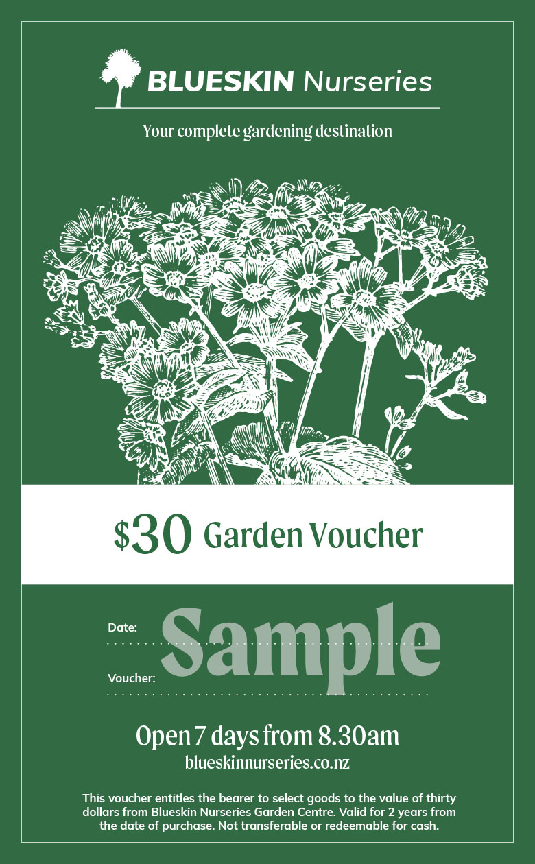 voucher $30