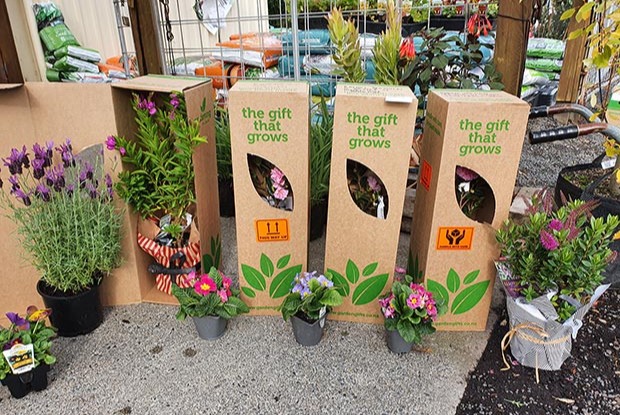 deliveries boxed plants 3