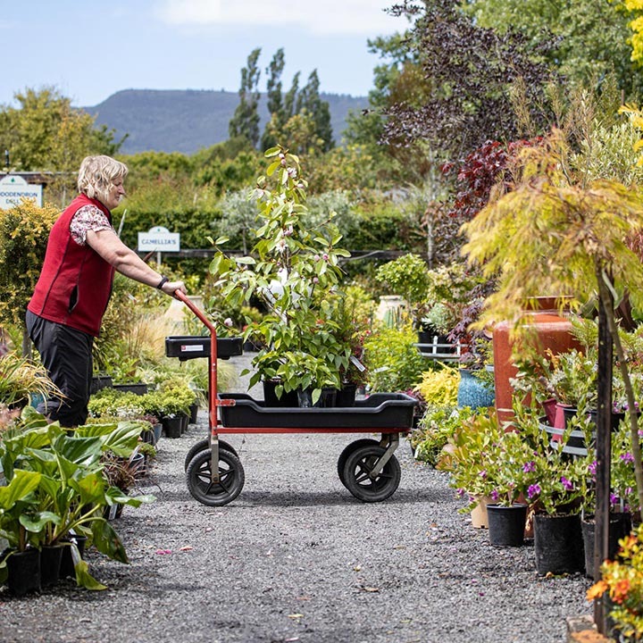 pushing trolley plant